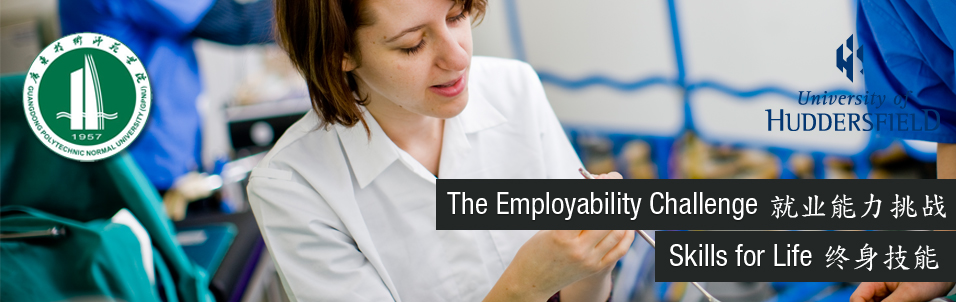 The Employability challenge, Skills for life.