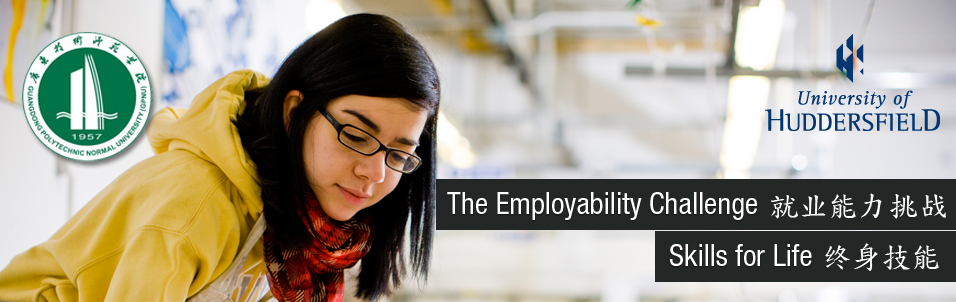 The Employability challenge, Skills for life.